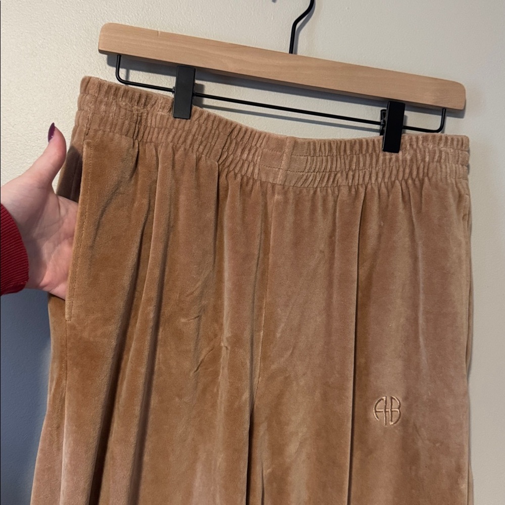 Anine Bing Sport Evan Velour Jogger - Picture 4 of 6